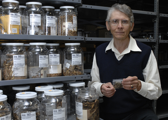 Mark Widrlechner with part of the ash seed collection at NCRPIS. Photo by Bob Elbert, ISU.