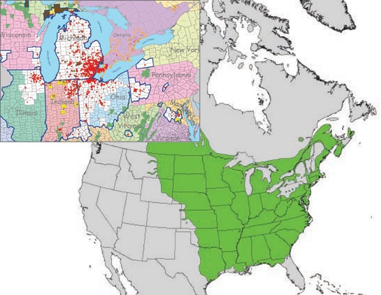 Main map shows ash tree distribution for Green Ash (Fraxinus pennsylvanica) on USGS map. Inset map, which shows EAB distribution as of October 2009, is from the Emerald Ash Borer Information website.