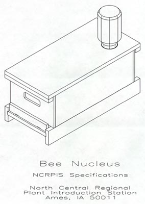 Honey Bee Nucleus