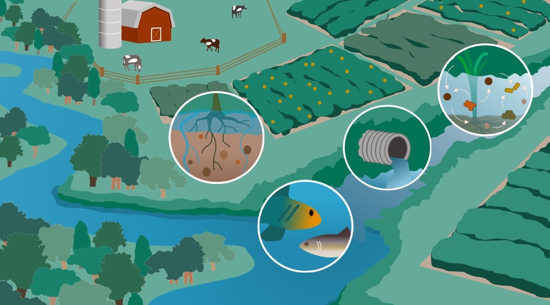 A graphic of the farming landscape depicting the four components of Unit research: soil, edge-of-field, drainage ditch, and streams.