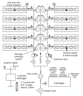 Schematic diagram of pot-in-pot experimental system