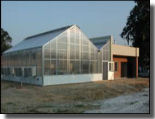 Greenhouse addition to insectary