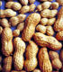 In-shell farmer stock peanuts