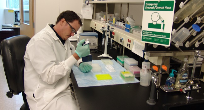 GBRU Collaborator, Cal Youngblood, inspecting a multichannel pipette