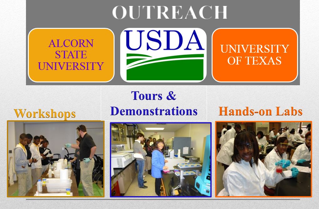 The USDA Agriculture Research Service has partnered with Alcorn State University and the University of Texas to help local science educators become more effective and so motivate their students to continue their studies in STEM (science, technology, engineering, and math) fields.  With funds from a National Science Foundation grant,  K-12 students within Washington County, MS, and the surrounding areas participate in “hands-on” plant molecular biology/biotechnology labs at their schools.  Moreover, students enjoy field trips to the JWDSRC campus, including scientific demonstrations, workshops, and tours of the Genomics and Bioinformatics Research Unit.