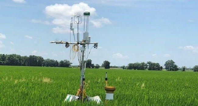 Monitoring equipment in the field.
