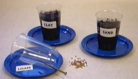 image of experiment setup with clay and sand cups filled