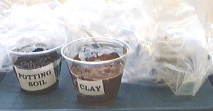 Image of potting soil and clay samples