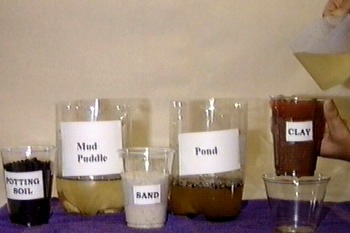Image of varied water and soil samples as described in experiment