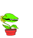 Cartoon, animated plant with snapping teeth