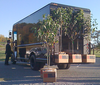 Corporate sponsor UPS ships the trees