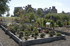 Student Discovery Garden