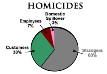 Homicide pie chart