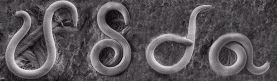 Photo: frozen coiled nematodes forming USDA logo