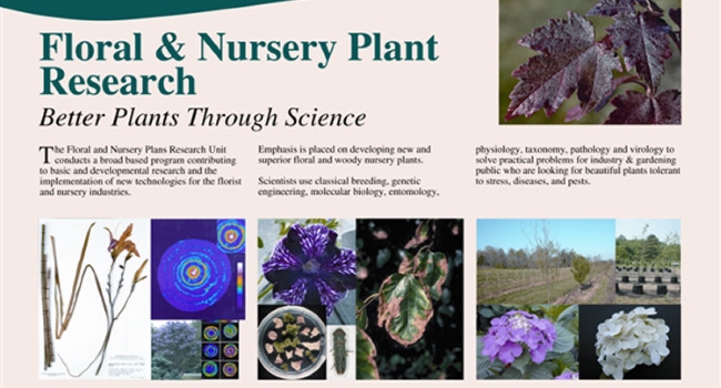 Better Plants Through Science - Poster