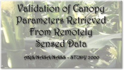Validation of Canopy Parameters Retrieved From Remotely Sensed Data