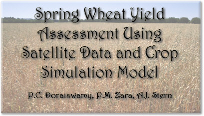 Spring Wheat Yield Assessment Using Satellite Data and Crop Simulation Model