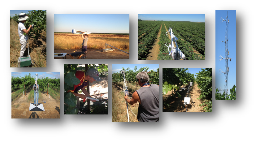 /ARSUserFiles/80420510/GRAPEX/field_work_collage.png