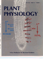 pict of plant physiology cover