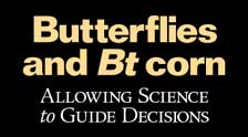 Butterflies and Bt corn. Allowing Science to Guide Decisions.