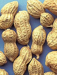 Photo: Peanuts. Link to photo information