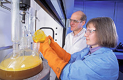Two ARS scientists prepare soybean-derived soapstock for conversion to biodiesel. Link to photo information