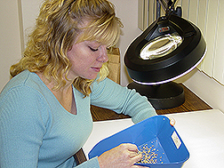 Agronomist Melanie Newman sorts through newly harvested seeds to remove broken ones: Link to photo information