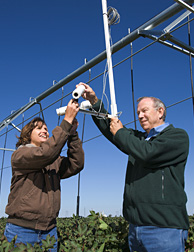 Photo: Two scientists adjusting an infrared thermometer on an irrigation system. Link to photo information