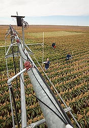 Photo: Two ARS technicians and an ARS scientist adjust sensors connected to a variable rate center pivot irrigation system in a field in Bushland, Texas. Link to photo information