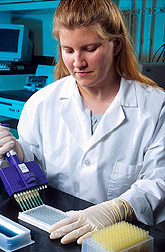 Technician Shannon Campion conducts the ARS-developed ELISA test for Trichinella