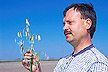 Scientist holds new hull-less oat plant: Link to magazine story