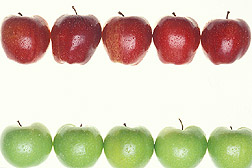 Photo: Apples. Link to photo information
