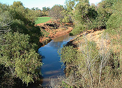 Landscape of Cobb Creek: Link to photo information