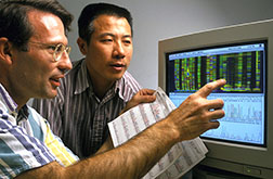 Molecular biologists Mark Tucker and Dingbo Zhou analyze electrophoretic data.