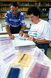 Geneticist Charles Stuber and technician Dianne Beattie discuss the scoring of isoenzyme markers. 
