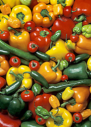ARS scientists evaluated different types of peppers for attributes that prolong the shelf life of fresh-cut peppers. Link to photo information