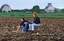 Agronomist Doug Buhler and Iowa State University student Amy Beatty count emerging weeds.