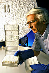 Photo: Microbiologist examining preserved yeast specimens. Link to photo information