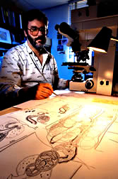 Zoologist Eric Hoberg makes detailed drawings of a previously unknown tapeworm. 