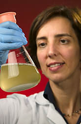 Maria Brandl holds vial containing protozoa in a liquid medium. Link to photo information