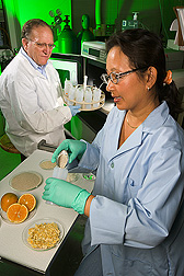 Chemists prepare orange peels for flash extraction of pectin. Link to photo information