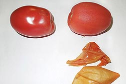 Photo: Tomatoes before and after peeling using an infrared heating system.