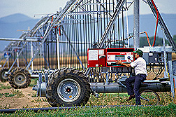 Agricultural engineer Harold Duke sets up an automated sprinkler irrigation system.