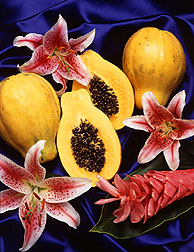 Hawaiian papayas, Carica papaya. Click the image for additional information about it.