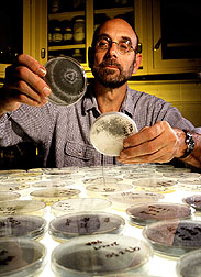 Microbiologist Gary Samuels