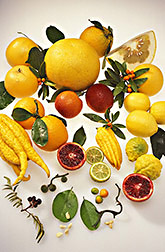 Various citrus fruits, vegetative tissues and seeds. Link to photo information