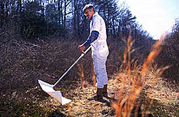 Entomologist John Carroll uses a tick sweep device 