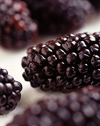 Closeup of a blackberry. Link to photo information