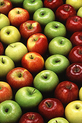 Golden Delicious, Gala, Granny Smith, and Red Delicious apples. Link to photo information
