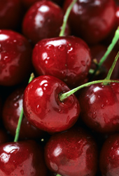 Photo: Bing cherries. Link to photo information